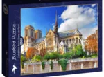 Cathédrale Notre-Dame de Paris