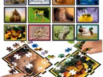 12 Puzzles - Puzzle Battle La Nature