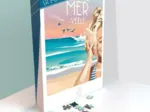 MER-Veille