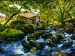 Watermill
