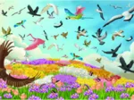 Amazing Birds