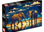 Des Éléphants Pleins de Vie