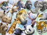Têtes d'Animaux