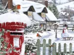 Rouge-Gorge dans la Neige