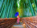Asian Woman in Bamboo Forest