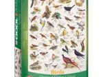 Affiche sur les Oiseaux