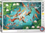 Carpes Koi Colorées