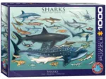 Requins