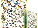 Papillons