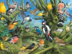 John Francis - Garden Birds