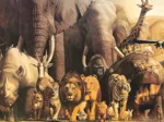 Haruo Takino - Noah's Ark
