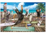 Pièces XXL - Yoga Spa