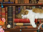 Pièces XXL - The Cat Nap