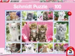 Chatons