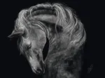 Puissant - Le Cheval : Sous le Signe de la Force
