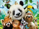 Simply Animals