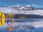 Les Reflets Dorés du Lac Wanaka
