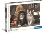Adorables Chatons