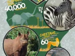 National Geo Kids - Wildlife Expedition