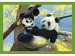 Puzzle 4 En 1 - Maman Bébé Animaux
