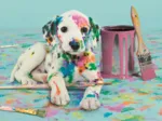 Drôle de Dalmatien