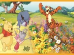 2 Puzzles - Journée Dans Le Jardin