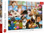 Famille Chat