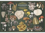 Finders Keepers - Collection de Champignons