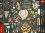Finders Keepers - Collection de Champignons